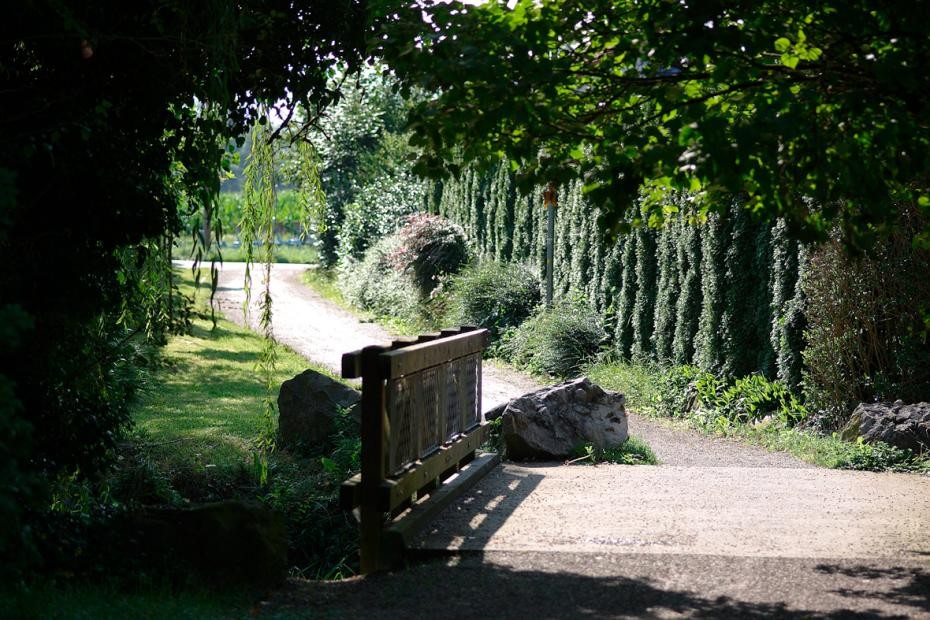 Fußweg bei der Mühle