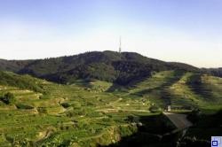 Blick auf "Totenkopf" 557 m